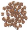 25 Smoked Topaz 5mm Bicone Swarovski
